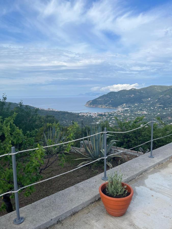 Villa Ouranos In Pefkias สโกเปลอสทาวน์ ภายนอก รูปภาพ